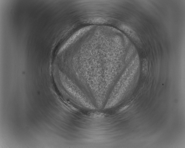 X0000073980206200609111816