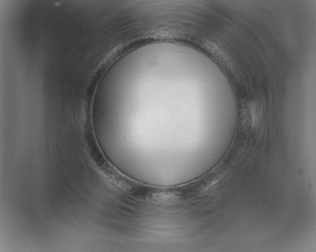 X0000073980208200609111816