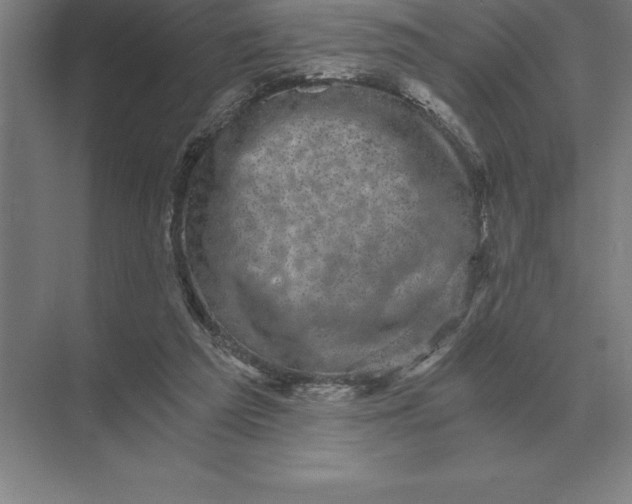 X0000073980209200609111816