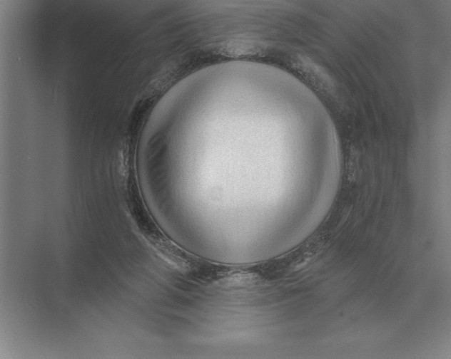 X0000073980210200609111816