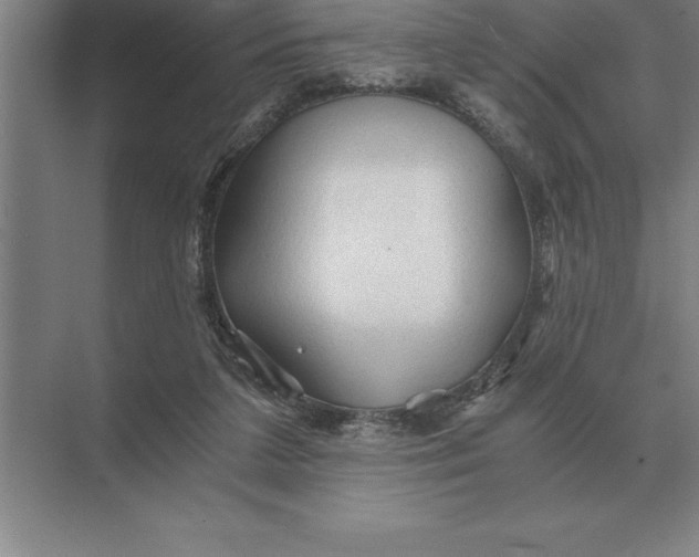 X0000073980211200609111816