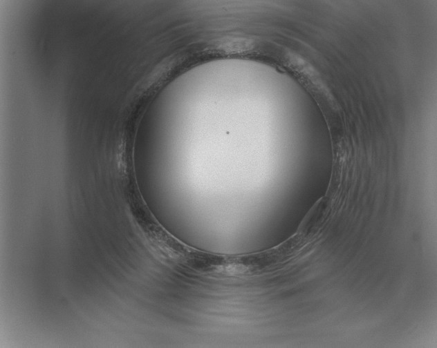 X0000073980212200609111816