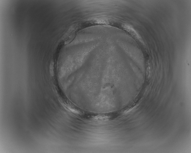 X0000073980213200609111816