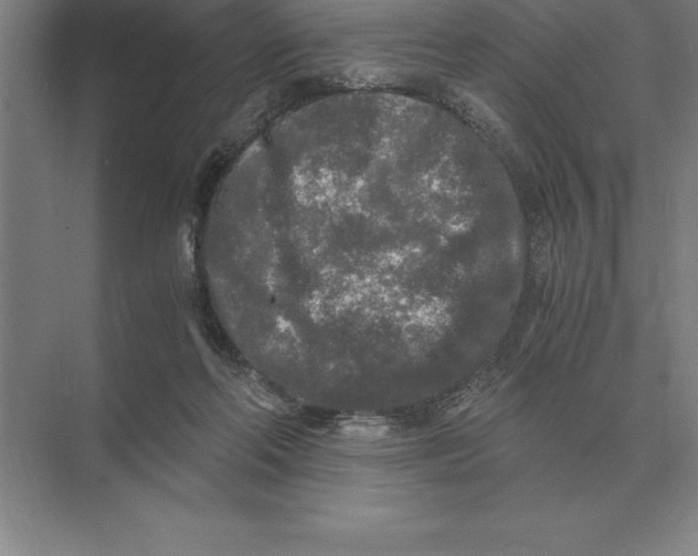 X0000073980214200609111816