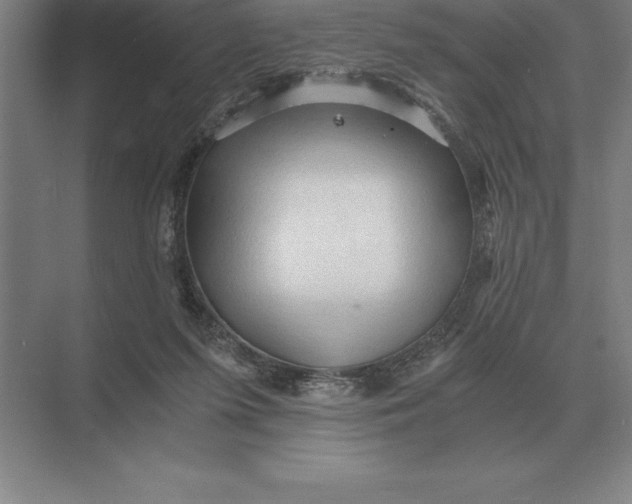 X0000073980215200609111816