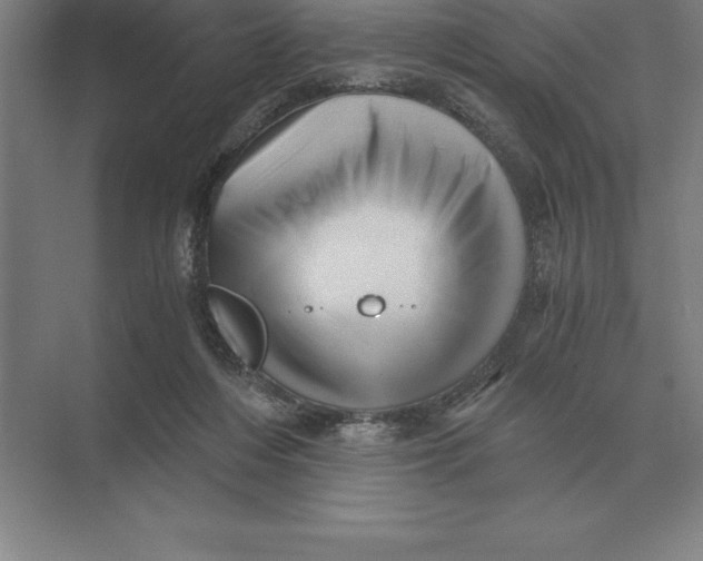 X0000073980216200609111816