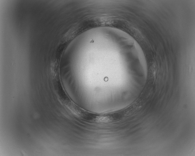 X0000073980218200609111816