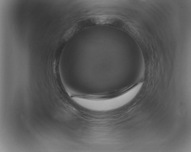 X0000073980219200609111816