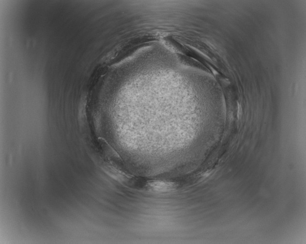 X0000073980221200609111816