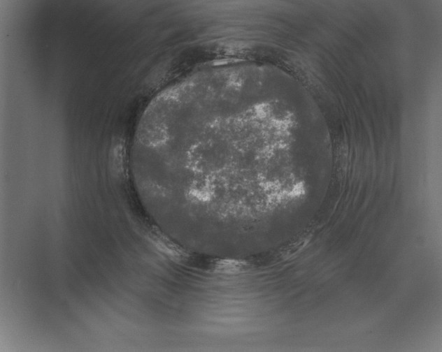 X0000073980222200609111816