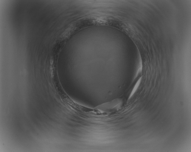 X0000073980223200609111816