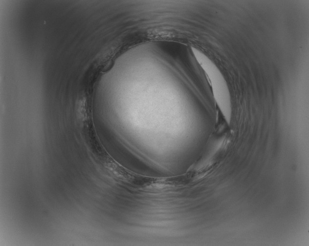 X0000073980224200609111816