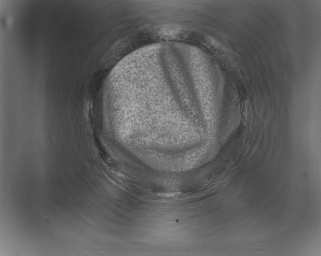 X0000073980225200609111816