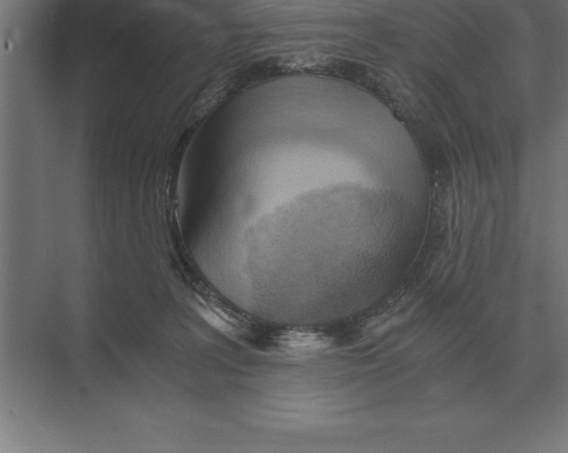 X0000073980227200609111816