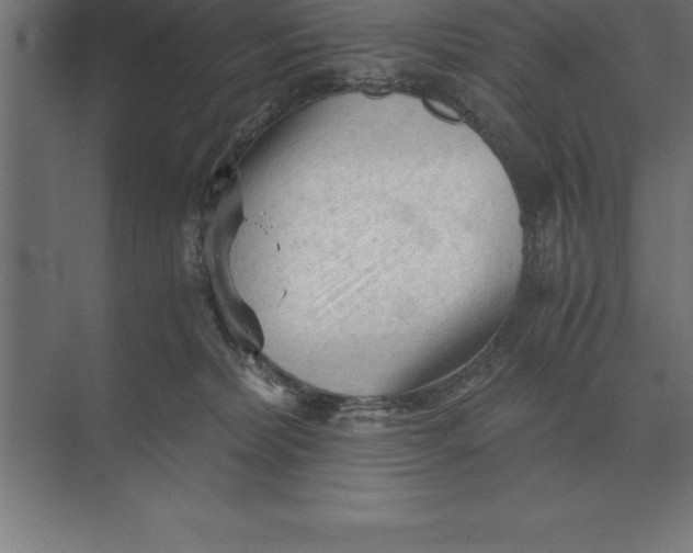 X0000073980228200609111816