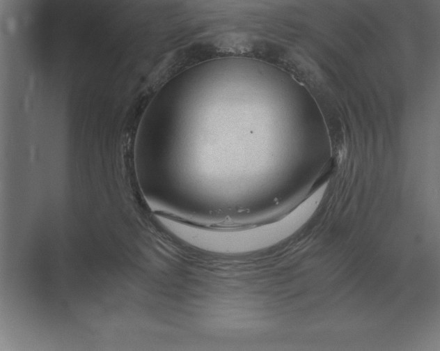 X0000073980229200609111816