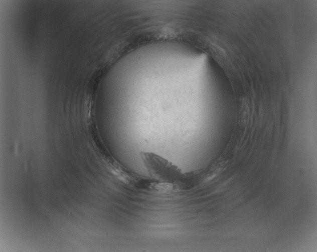 X0000073980230200609111816