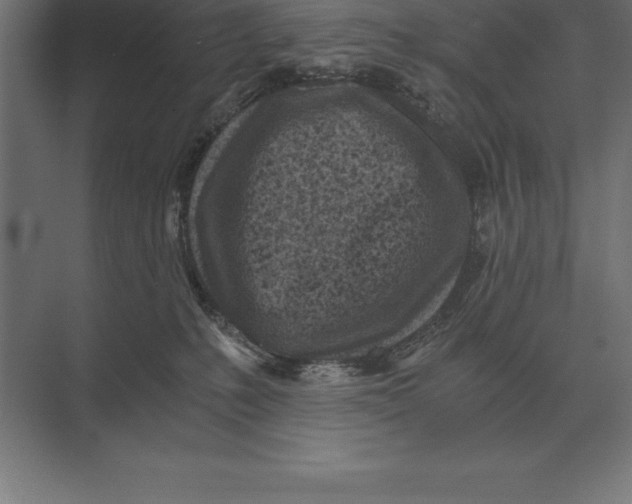 X0000073980231200609111816