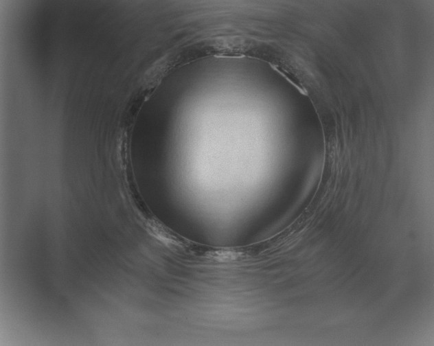 X0000073980233200609111816