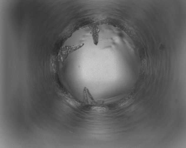 X0000073980234200609111816