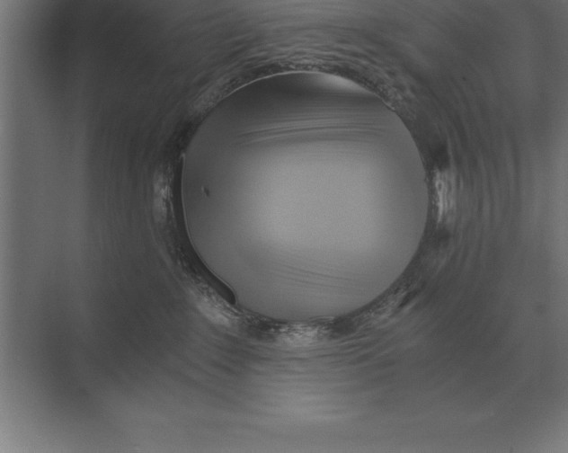 X0000073980235200609111816