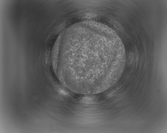 X0000073980236200609111816