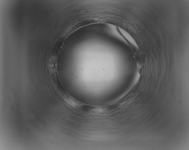 X0000073980237200609111816