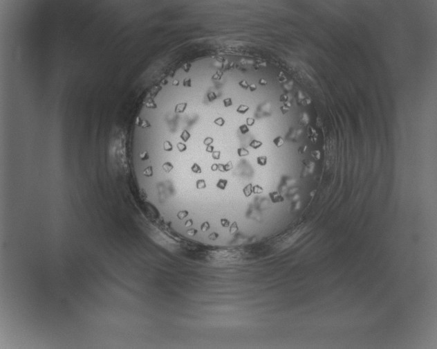 X0000073980238200609111816