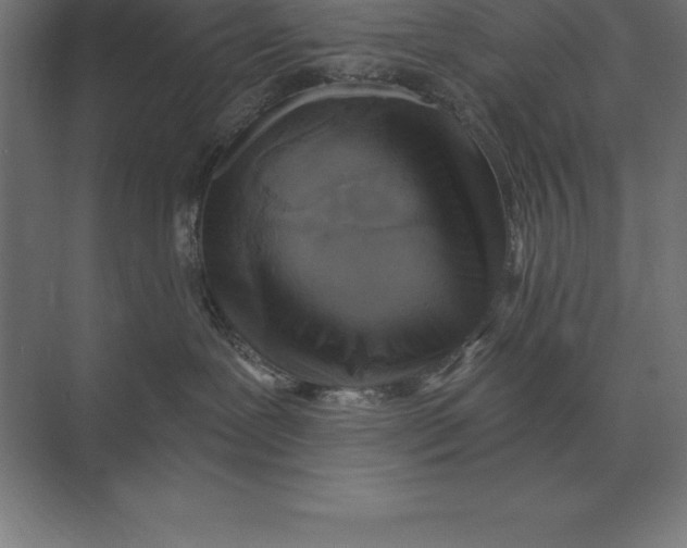 X0000073980239200609111816