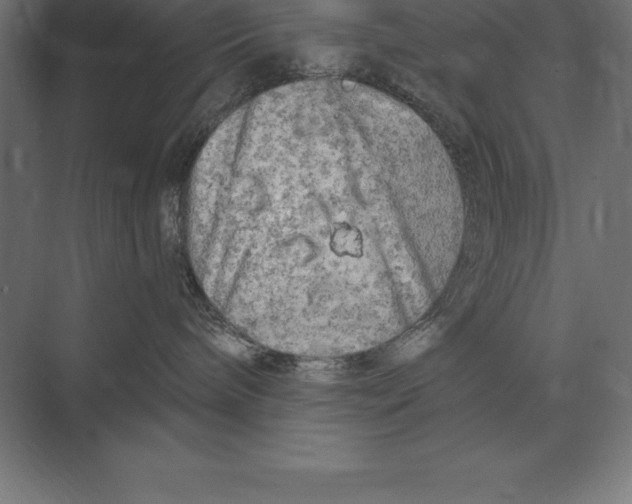 X0000073980240200609111816