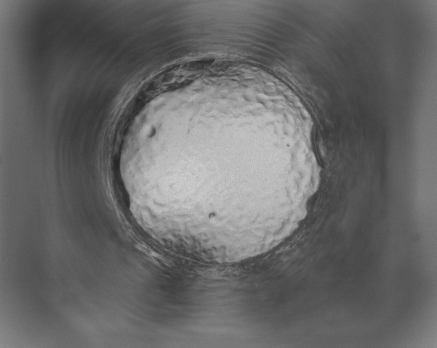 X0000073980241200609111815