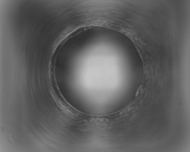 X0000073980242200609111815