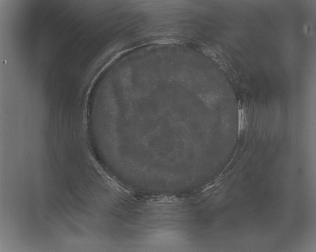 X0000073980243200609111815