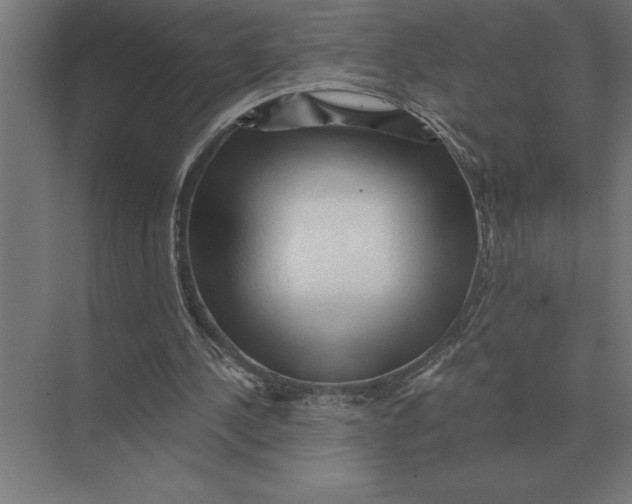 X0000073980244200609111815