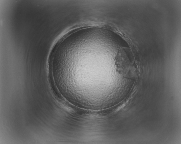 X0000073980246200609111815