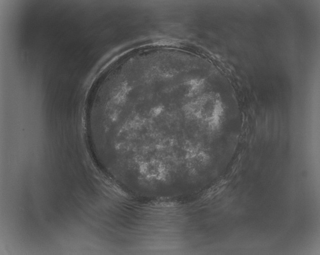 X0000073980247200609111815