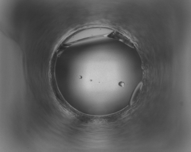 X0000073980248200609111815