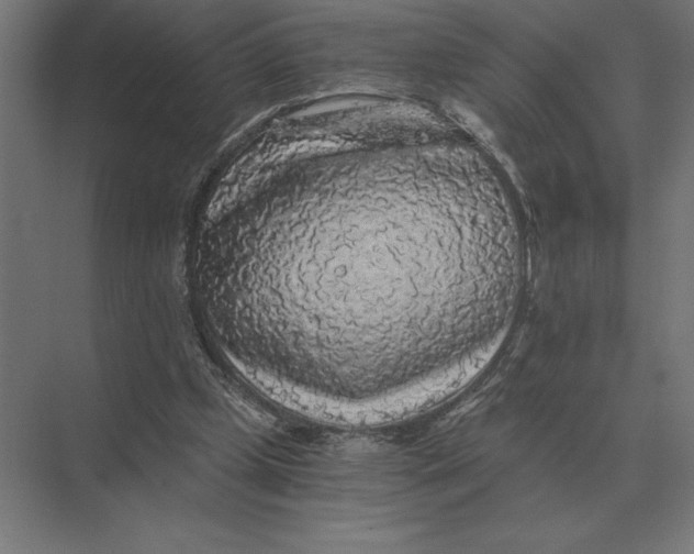 X0000073980249200609111815