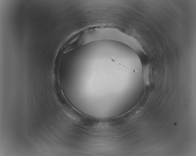 X0000073980252200609111815