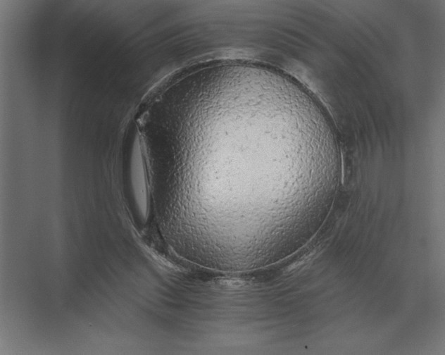 X0000073980253200609111815