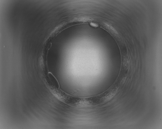 X0000073980256200609111815