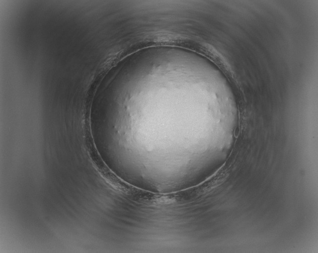 X0000073980257200609111815