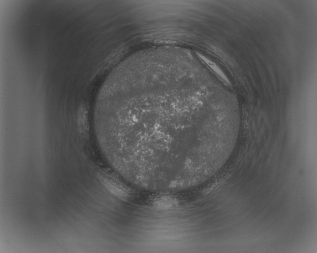 X0000073980258200609111815