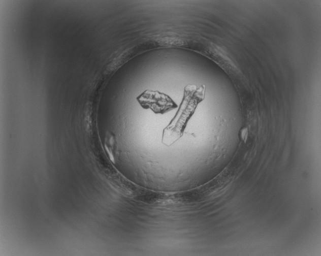 X0000073980259200609111815