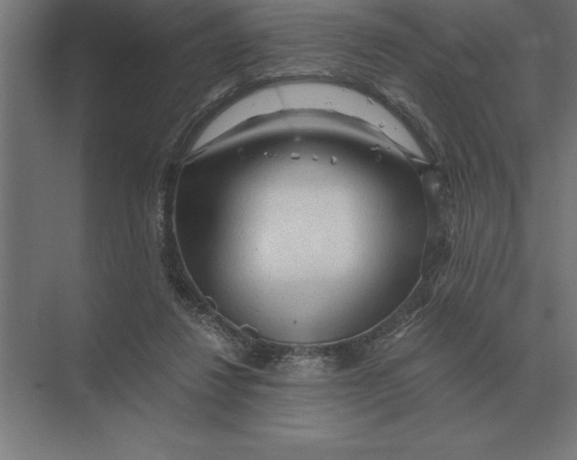 X0000073980260200609111815