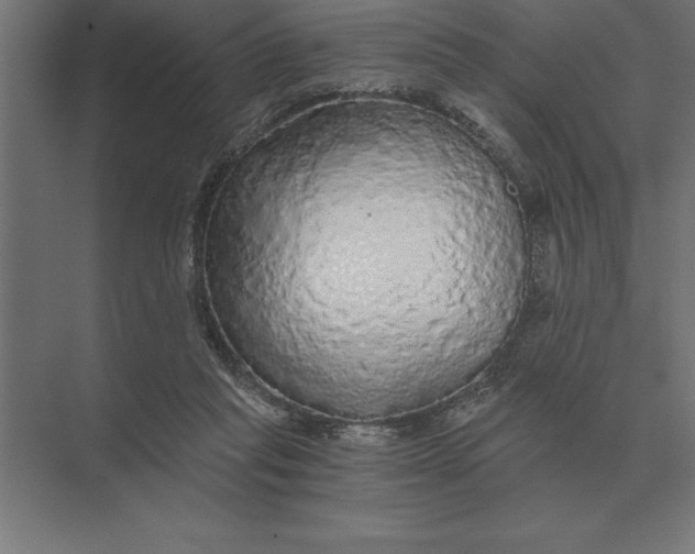 X0000073980261200609111815