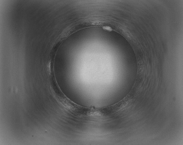 X0000073980262200609111815