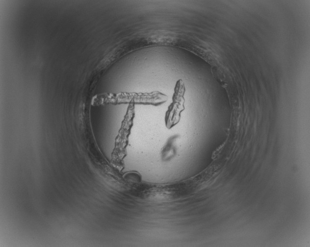 X0000073980263200609111815