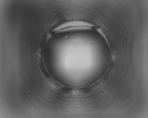 X0000073980264200609111815