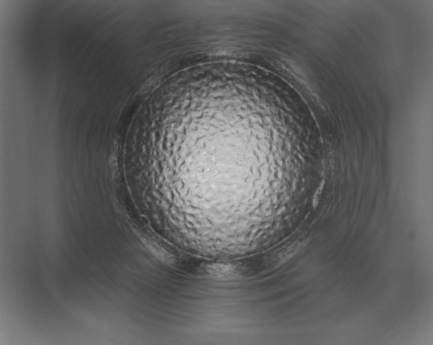 X0000073980265200609111815